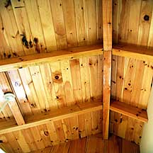 Nature's Hideaway Ceiling